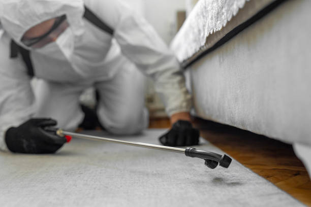 Professional Pest Control technician working in Ranger, TX